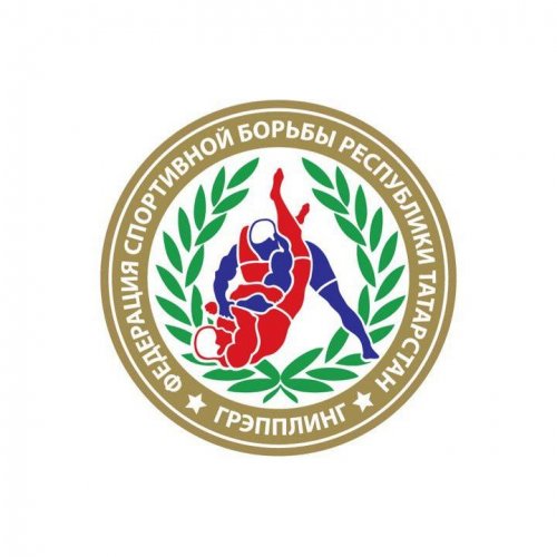 Логотип организации Федерация спортивной борьбы грэпплинг Республики Татарстан